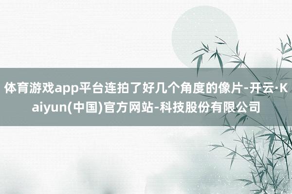 体育游戏app平台连拍了好几个角度的像片-开云·Kaiyun(中国)官方网站-科技股份有限公司