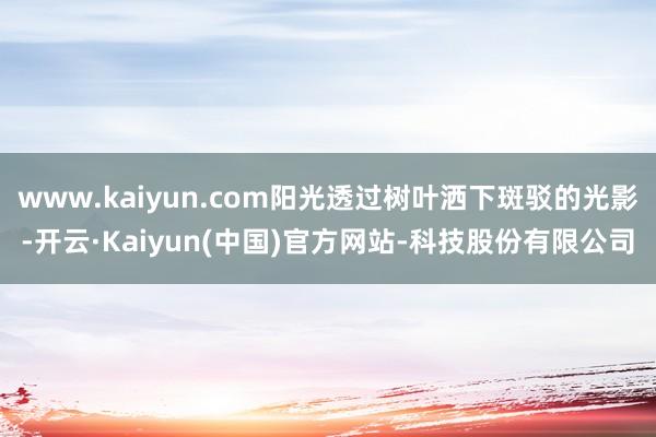 www.kaiyun.com阳光透过树叶洒下斑驳的光影-开云·Kaiyun(中国)官方网站-科技股份有限公司