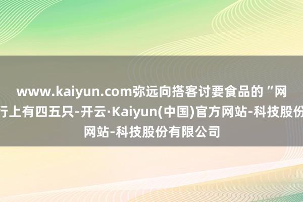 www.kaiyun.com弥远向搭客讨要食品的“网红狼”推行上有四五只-开云·Kaiyun(中国)官方网站-科技股份有限公司