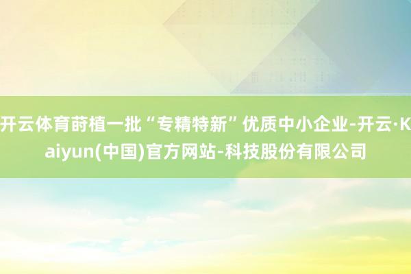 开云体育莳植一批“专精特新”优质中小企业-开云·Kaiyun(中国)官方网站-科技股份有限公司