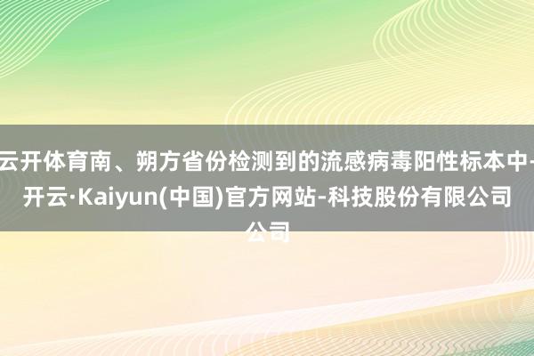 云开体育南、朔方省份检测到的流感病毒阳性标本中-开云·Kaiyun(中国)官方网站-科技股份有限公司