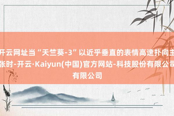 开云网址当“天竺葵-3”以近乎垂直的表情高速扑向主张时-开云·Kaiyun(中国)官方网站-科技股份有限公司