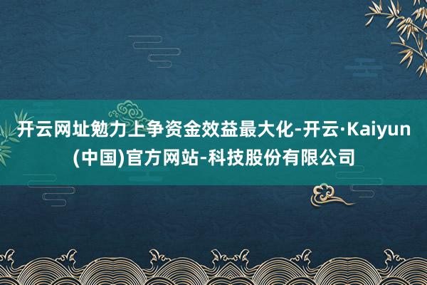 开云网址勉力上争资金效益最大化-开云·Kaiyun(中国)官方网站-科技股份有限公司