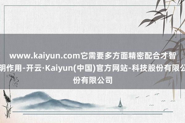 www.kaiyun.com它需要多方面精密配合才智阐明作用-开云·Kaiyun(中国)官方网站-科技股份有限公司
