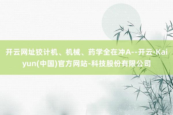 开云网址狡计机、机械、药学全在冲A--开云·Kaiyun(中国)官方网站-科技股份有限公司