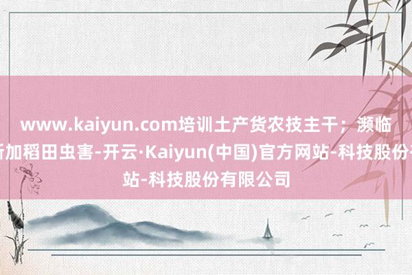 www.kaiyun.com培训土产货农技主干；濒临马达加斯加稻田虫害-开云·Kaiyun(中国)官方网站-科技股份有限公司