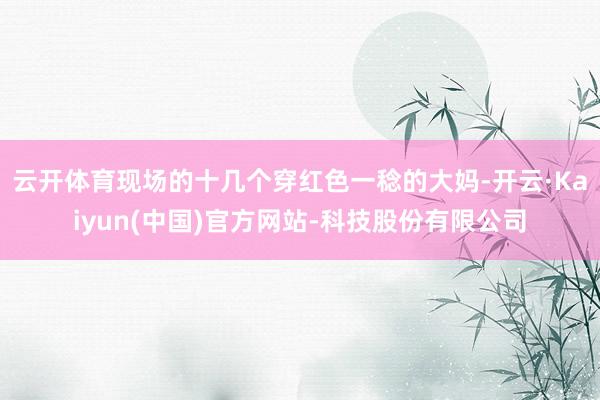 云开体育现场的十几个穿红色一稔的大妈-开云·Kaiyun(中国)官方网站-科技股份有限公司