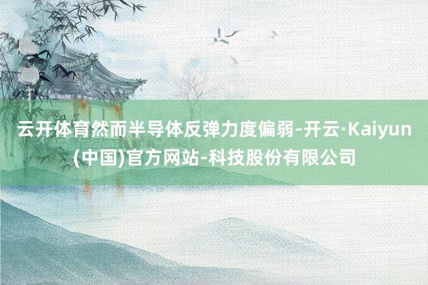 云开体育然而半导体反弹力度偏弱-开云·Kaiyun(中国)官方网站-科技股份有限公司