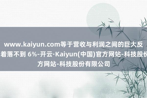 www.kaiyun.com等于营收与利润之间的巨大反差——收入着落不到 6%-开云·Kaiyun(中国)官方网站-科技股份有限公司