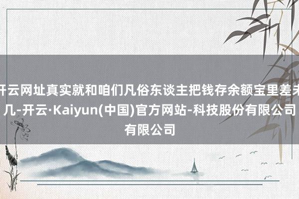 开云网址真实就和咱们凡俗东谈主把钱存余额宝里差未几-开云·Kaiyun(中国)官方网站-科技股份有限公司